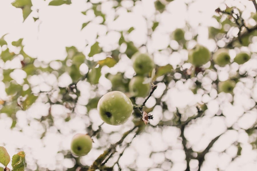 Mariage classique au château de Kronburg dans l'Allgäu