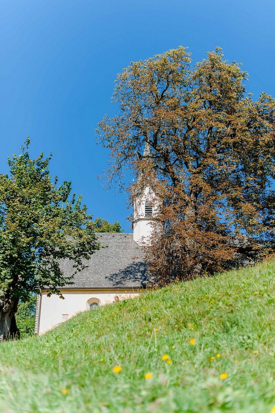 mariage-hasenoehrlhof-bayrischzell-huette-nature-26