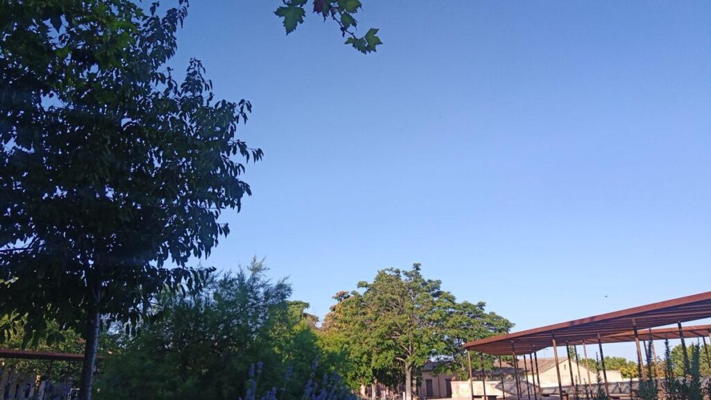 Cielos azules y sol brillante en Zamora capital esta mañana de domingo. Entorno de San Martín.