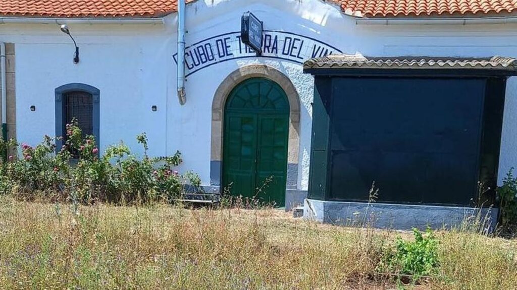 Maleza en el entorno de la estación de tren de El Cubo.