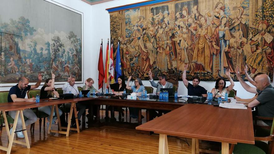 Votación de uno de los puntos del orden del día del pleno.