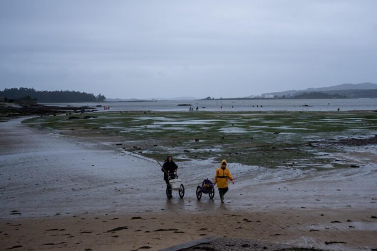 Cambados, village de pêcheurs en Galice
