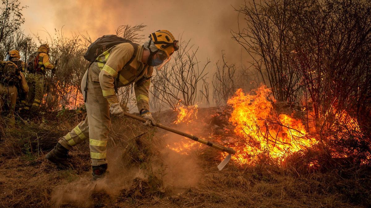 Bomberos forestales realizan labores de extinción en un incendio en Galicia.