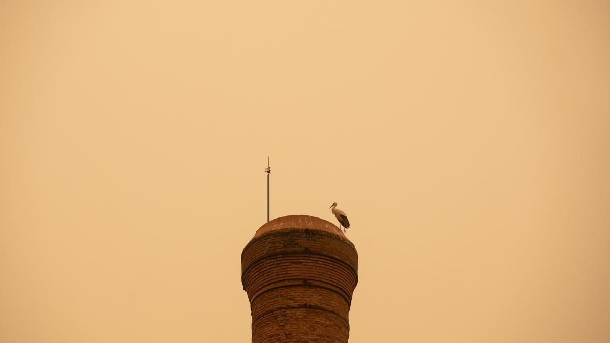 Calima en Zamora.
