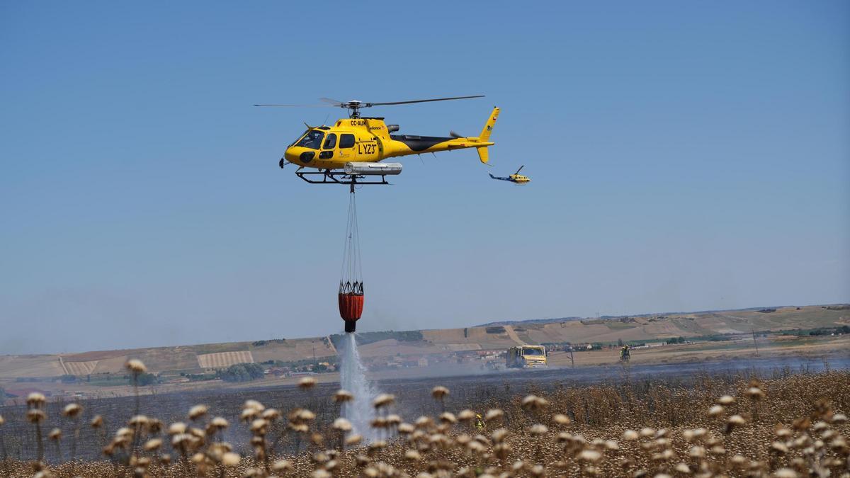 Incendio forestal