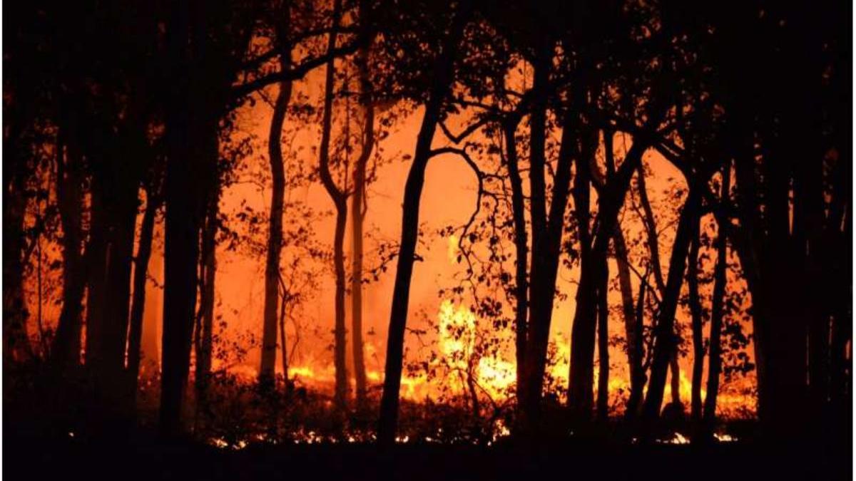 Imagen de un incendio
