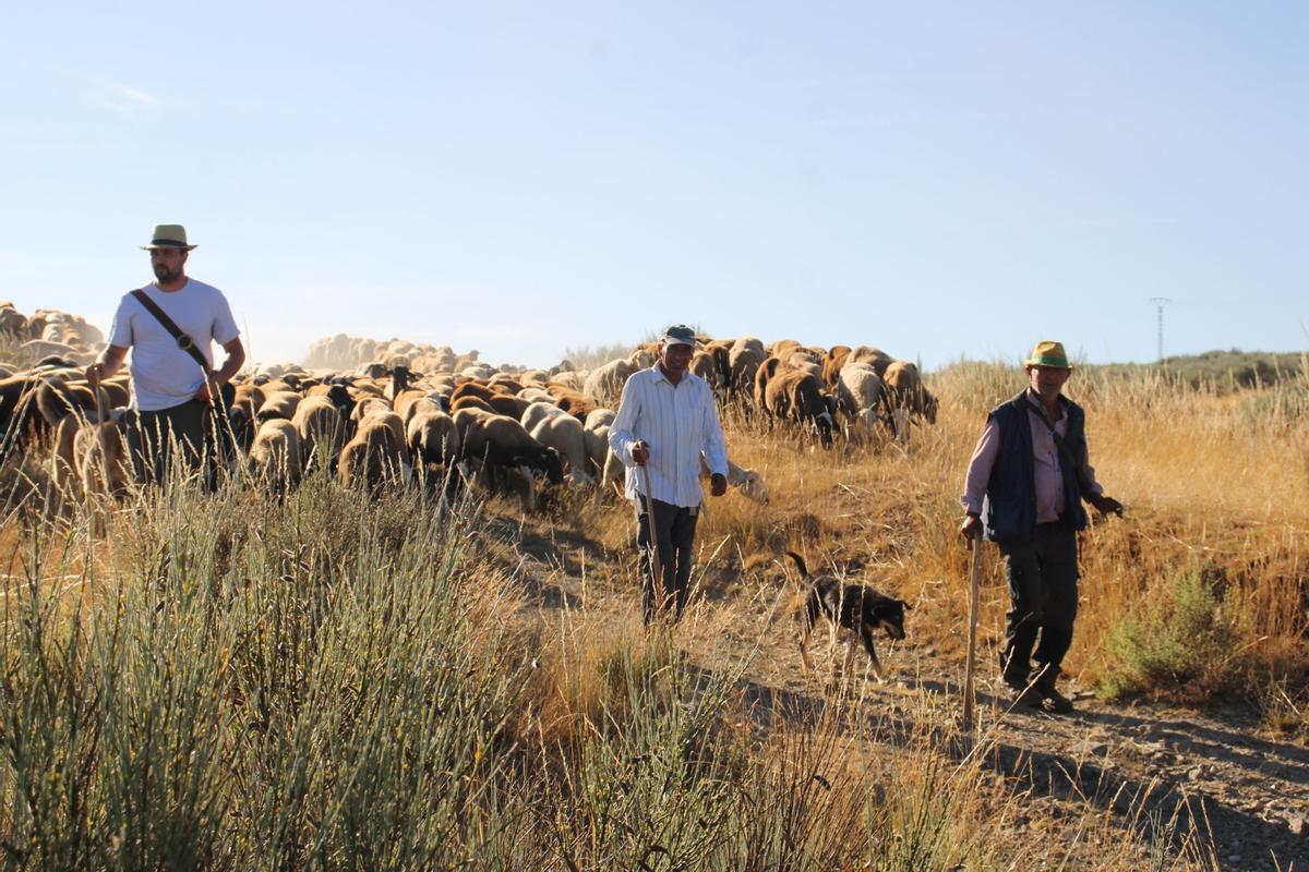 SALON DU CHEVAL ET DE LA TRANSHUMANCE DE PORTO