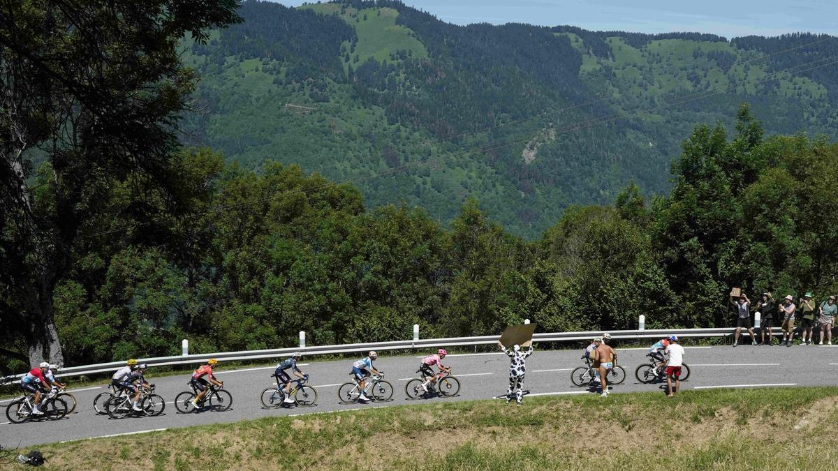 Un momento de la etapa 15 del Tour de Francia.