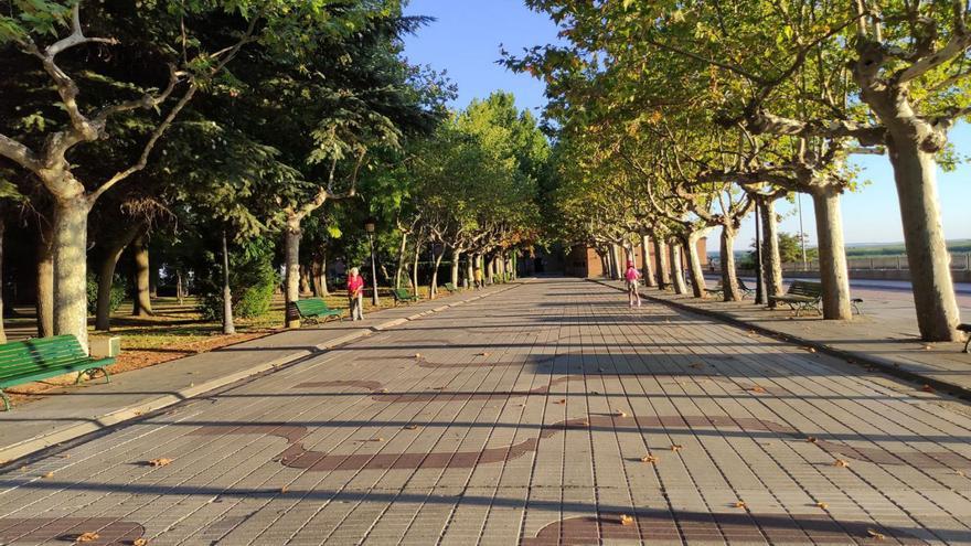 La zona central de los Paseos albergará una nueva fuente.