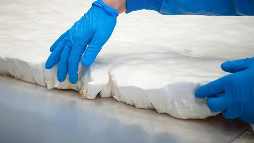 Micelio de hongos cultivados para fabricar diferentes productos.