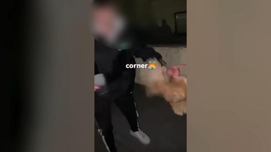 VIDÉO DE MALTRAITEMENT D'UNE POULE |  Enquête pour avoir utilisé un poulet comme ballon de football lors des festivités d'un village de La Rioja