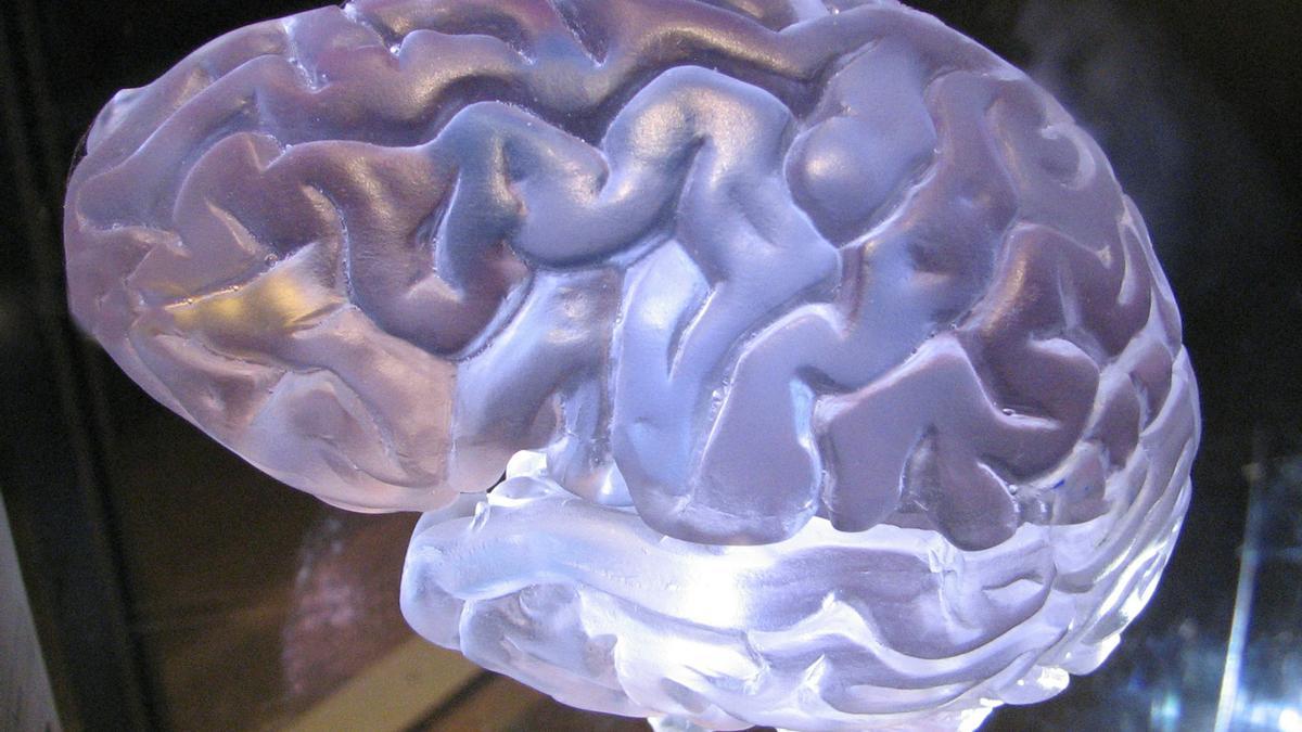 La representación neuronal de los números está clara en muchos casos, pero con respecto al cero sigue siendo en gran parte un enigma. Un nuevo estudio ha descubierto algunas pistas interesantes.
