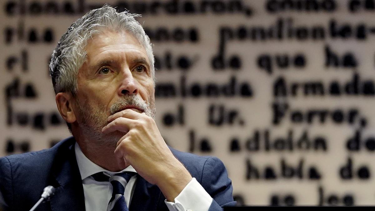 Fernando Grande Marlaska, ministro de Interior, durante su comparecencia en el Senado en la comisión de investigación sobre los contratos públicos realizados durante la pandemia de covid-19, relacionados con la intermediación de Koldo García