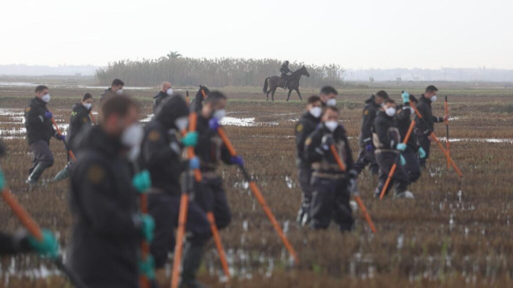 Agentes de la Guardia Civil peinan l'Albufera y los arrozales en busca de víctimas