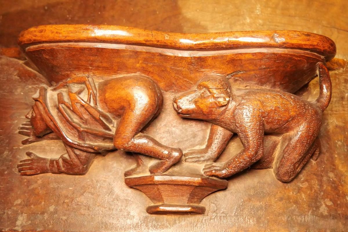 Un singe inspecte les organes génitaux d'une femme