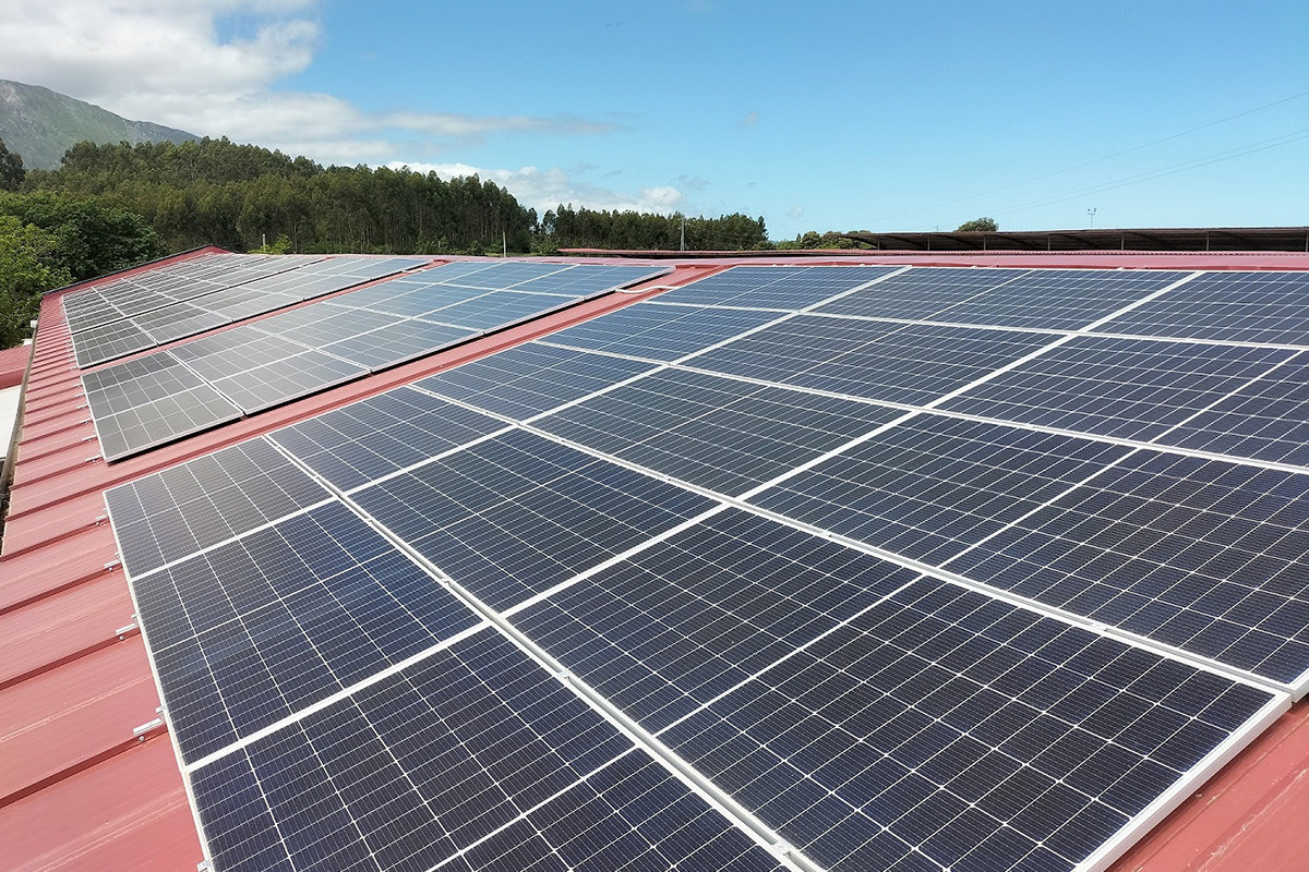 Près de 40 exploitations agricoles fournisseurs ont déjà installé des équipements de panneaux photovoltaïques pour obtenir de l'électricité verte - Photo : Nestlé