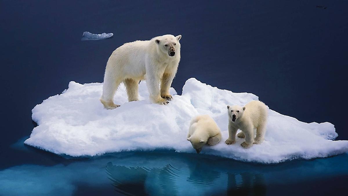 El hielo del Ártico se funde y desaparecerá por completo en verano en 2027