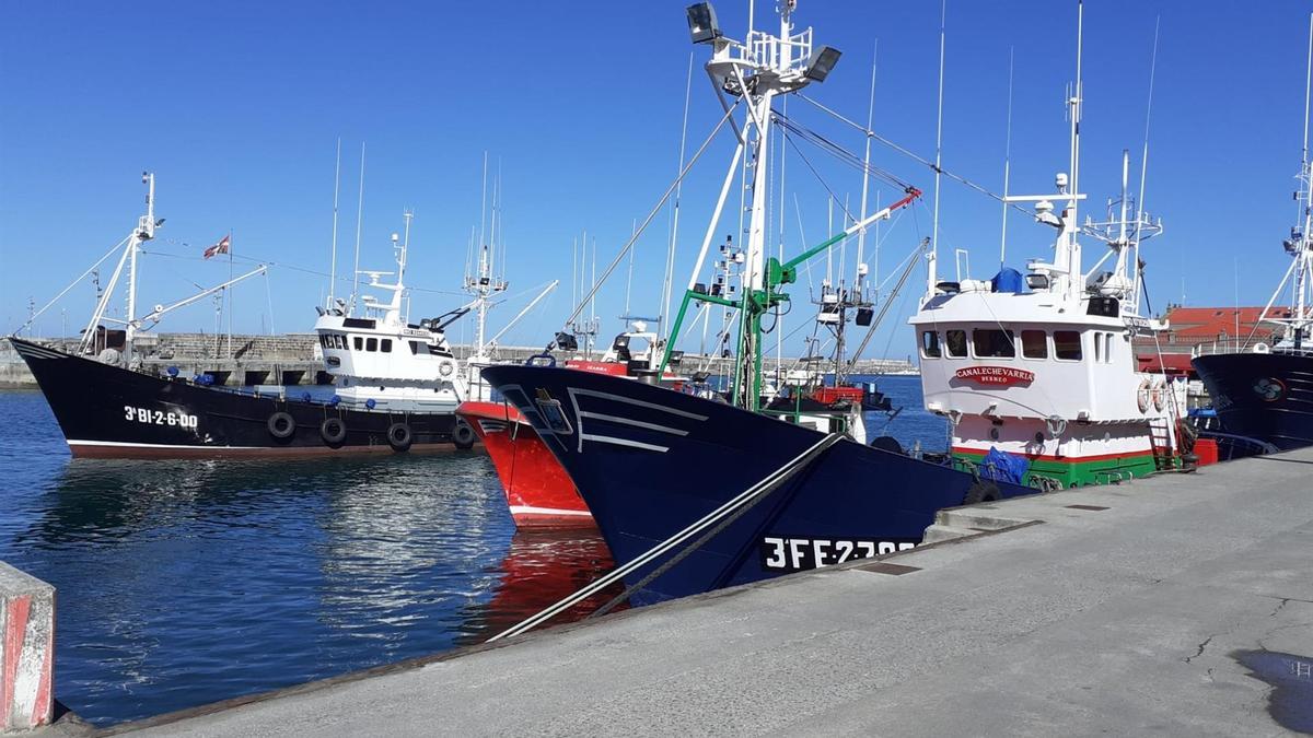 Barcos pesqueros en el puerto de Bermeo (Bizkaia).