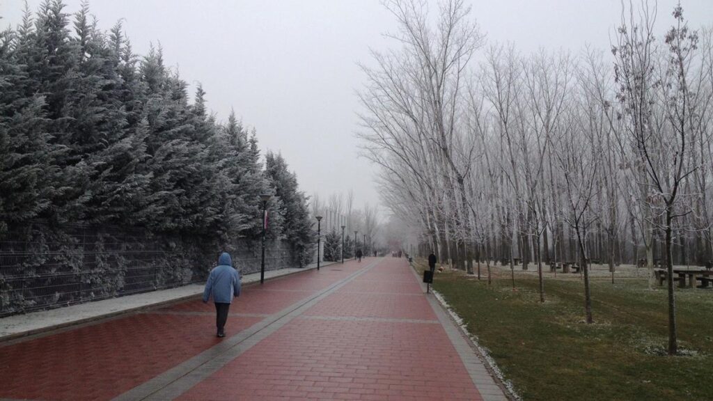 Frío y niebla en Valladolid.