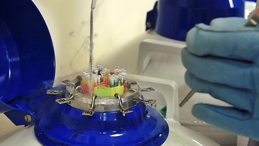 Manipulación de muestras en un laboratorio de reproducción asistida, en una imagen de archivo.