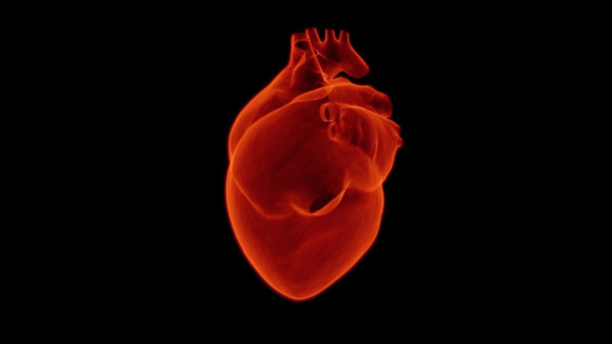 Arrêter de fumer a un impact direct sur la santé cardiovasculaire