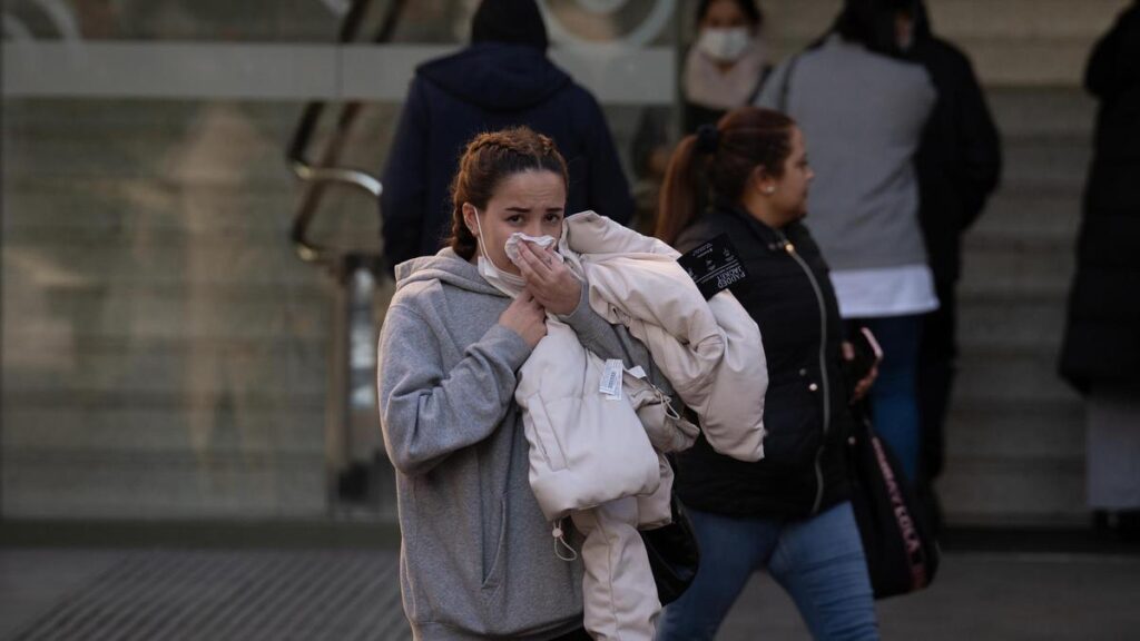 Los cinco virus que tienen a media España enferma