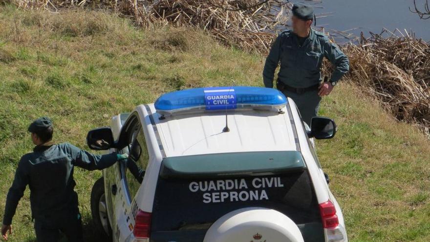Agentes del Seprona, división de la Guardia Civil que investigó el caso.