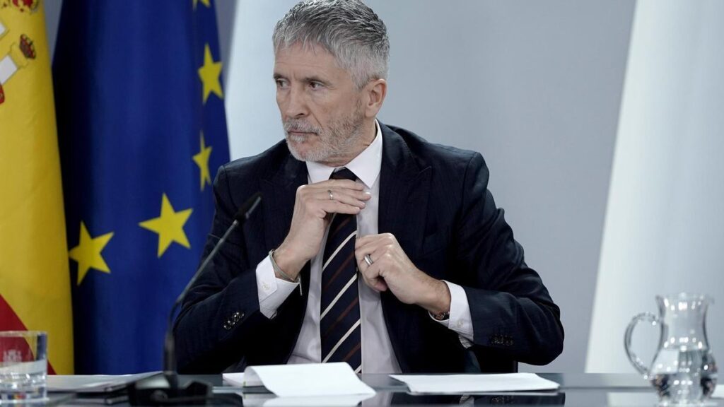 Fernando Grande Marlaska  durante la rueda de prensa posterior al Consejo de Ministros.
