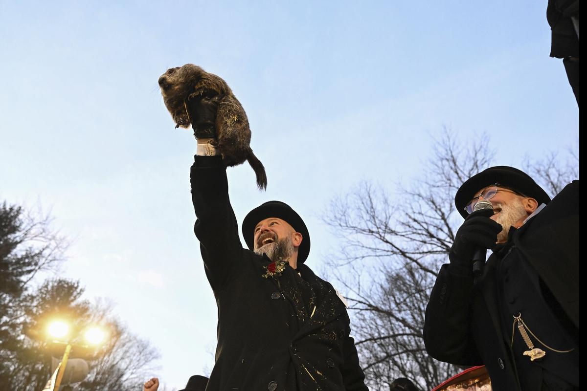Le gestionnaire du club de finition AJ Dereume tient Punxsutawney Phil, la météo pronosticant la marmotte, lors de la 139e célébration de la Journée de la marmotte sur le bouton de Gobbler à Punxsutawney, Pennsylvanie, dimanche 2 février 2025. . (AP Photo / Barry Reger)