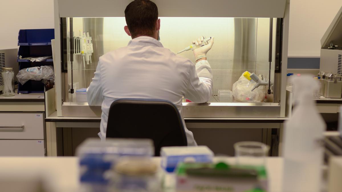 Une étude établit la relation entre le cancer du côlon et les anisakis