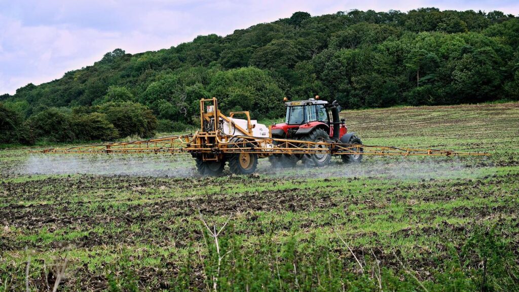 El uso de pesticidas provoca daños gravísmos en la biodiversidad.