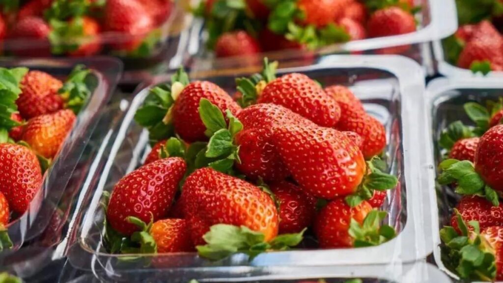 No dejes que se te estropeen las fresas.
