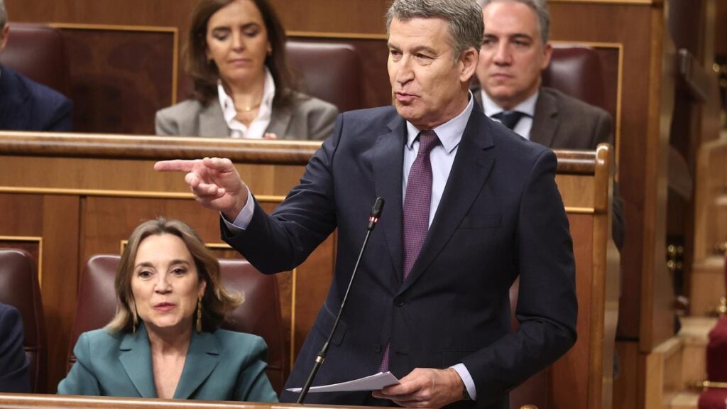 El presidente del PP, Alberto Núñez Feijóo, interviene durante una sesión de control, Congreso de los Diputados, a 12 de febrero de 2025, en Madrid (España).