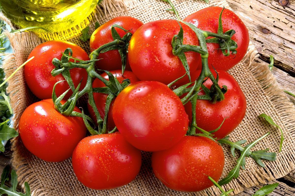 Le lycopène est un puissant antioxydant contenu dans la tomate qui fournit la couleur rouge.