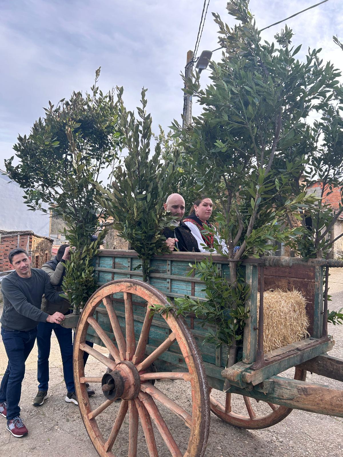 Mariage traditionnel à DMEZ