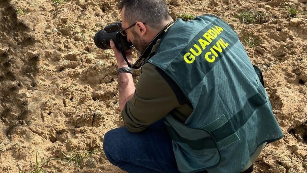 Un agente toma fotografías en terrenos del yacimiento cuya remoción de tierras ha motivado la investigaicón.