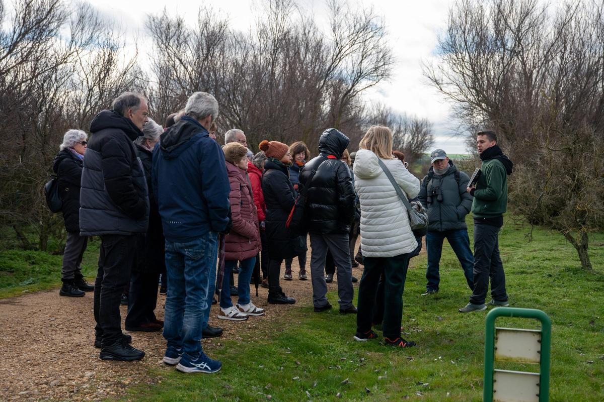 Une excursion de retraités de León, ce qui rend mercredi la réserve de Las Lagunas de Villafáfila