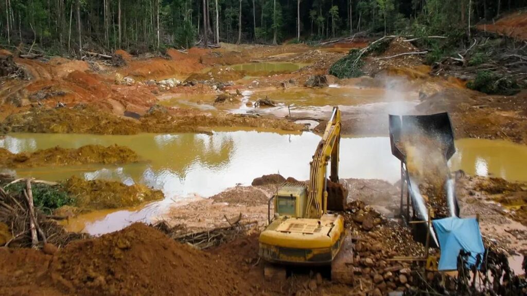 Desecación de una turbera en la Amazonía peruana para obtener oro