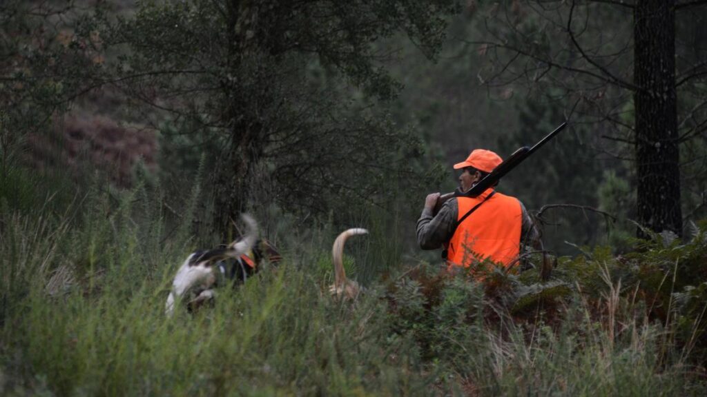 Un cazador con sus perros en el monte.