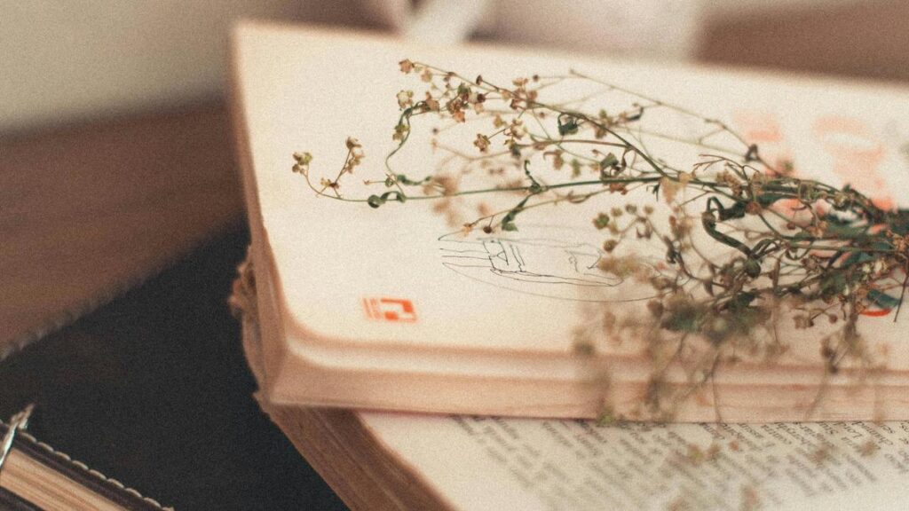 ¡Te ponemos a prueba!