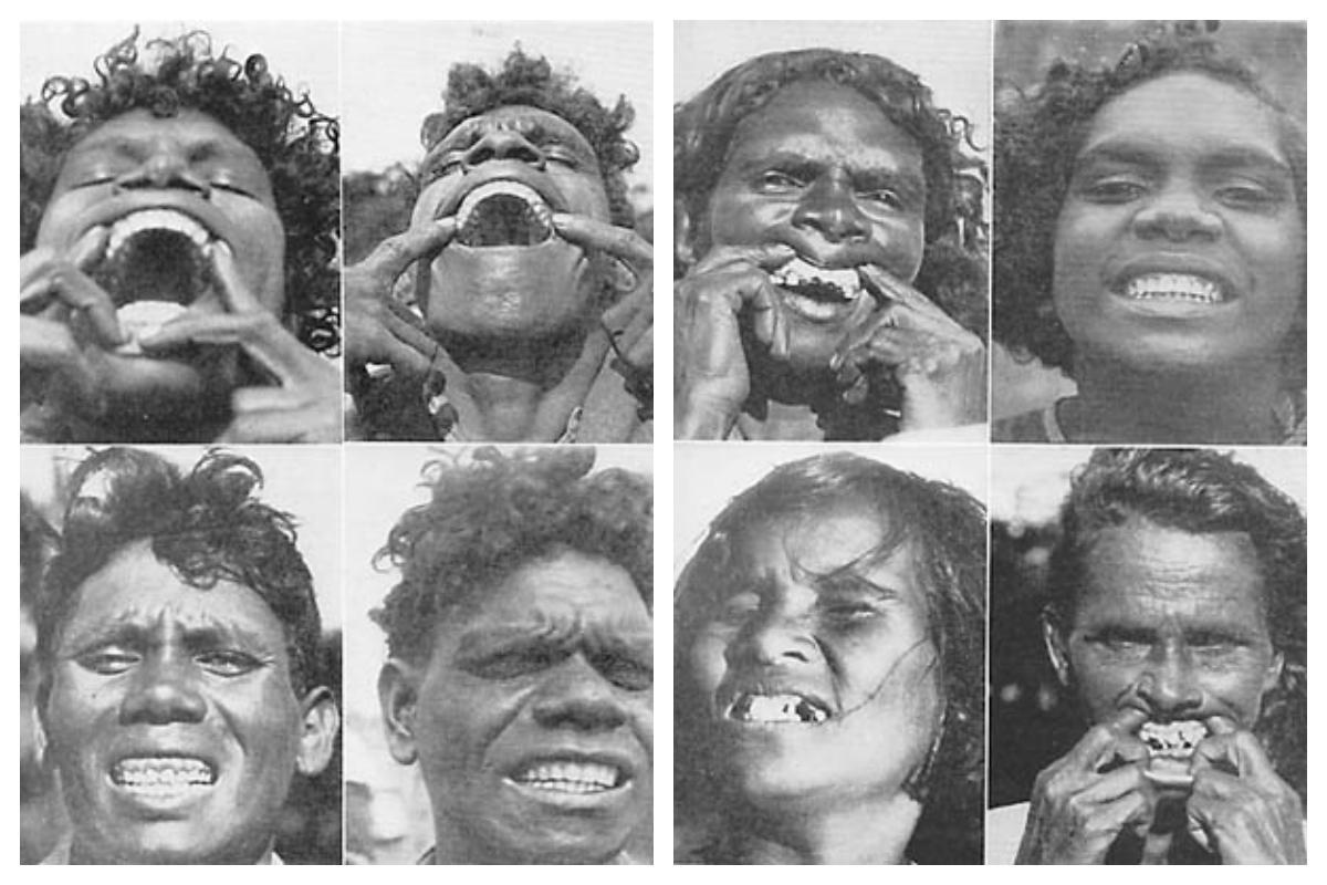 Aborigènes australiennes australiennes et modernisées de Weston Price