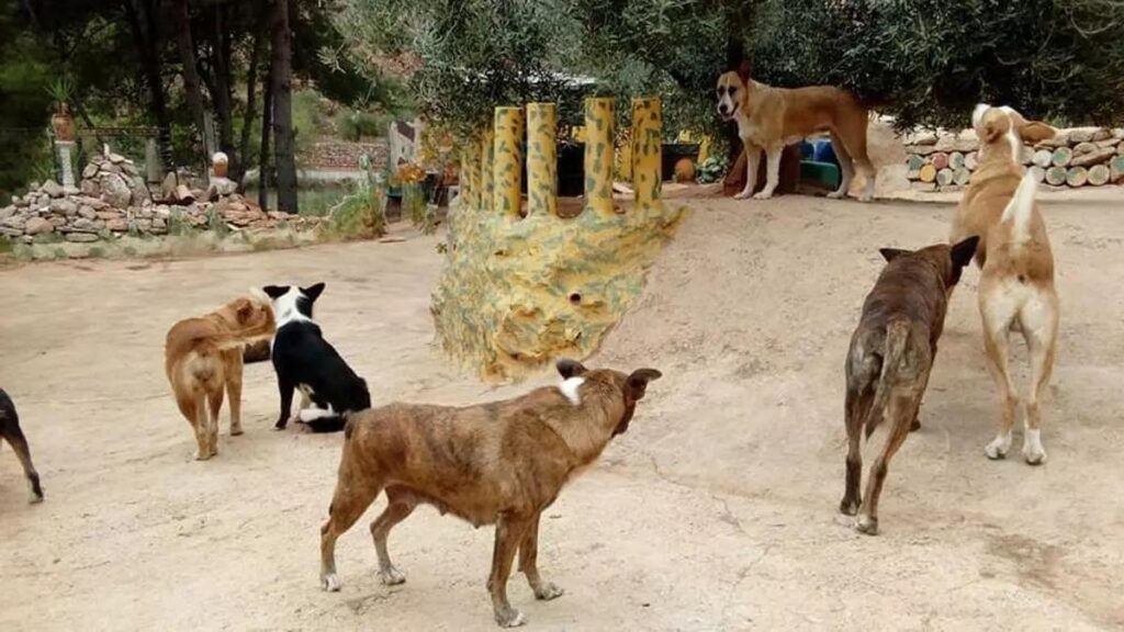 Una jauría de perros