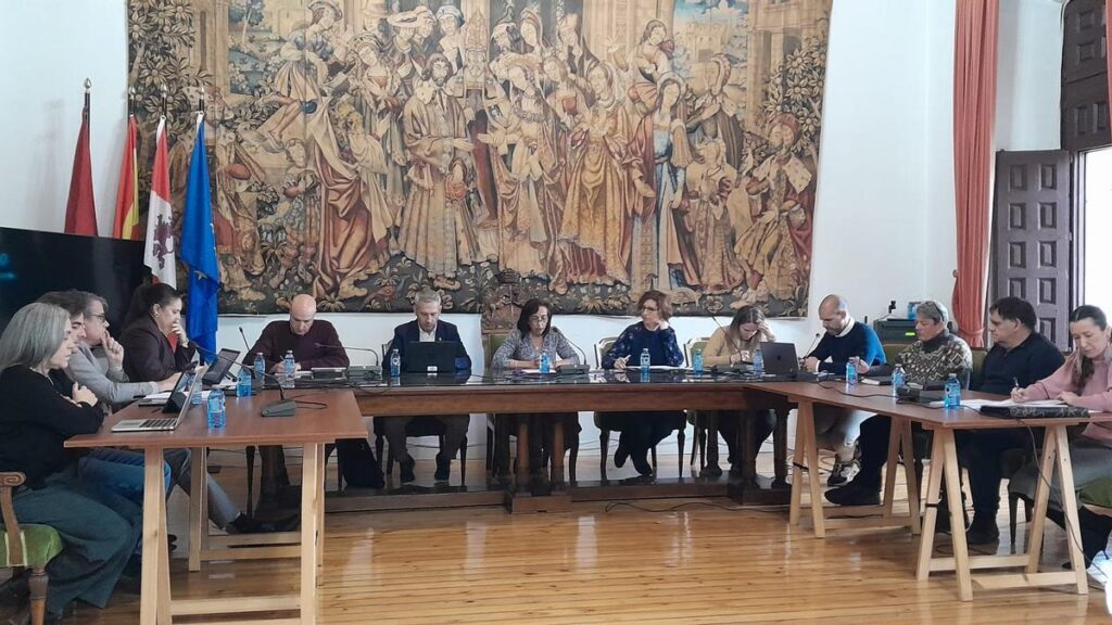 Los concejales del Ayuntamiento de Toro, en una sesión plenaria.