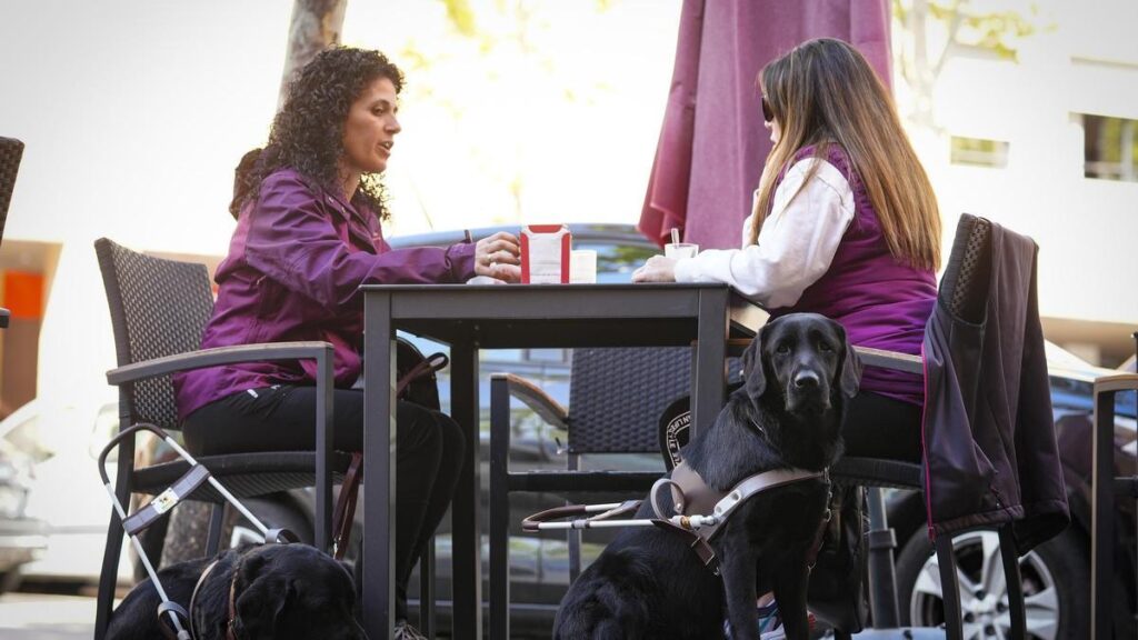 Los perros guía de la ONCE en Zamora reclaman su derecho de acceso a establecimientos de restauración