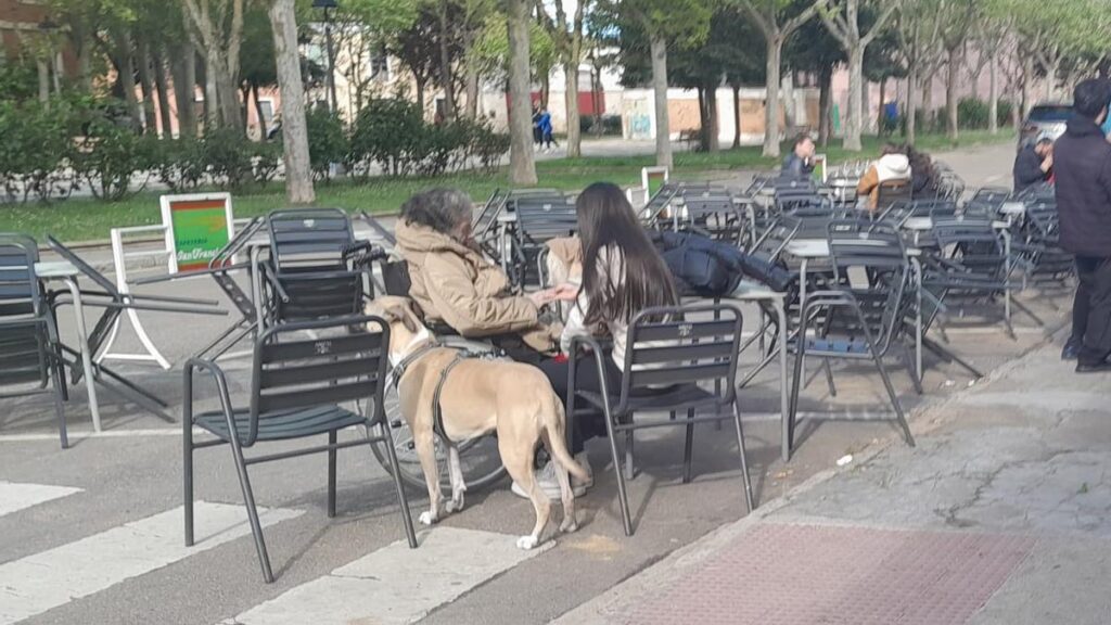 Terraza de un bar en Toro.