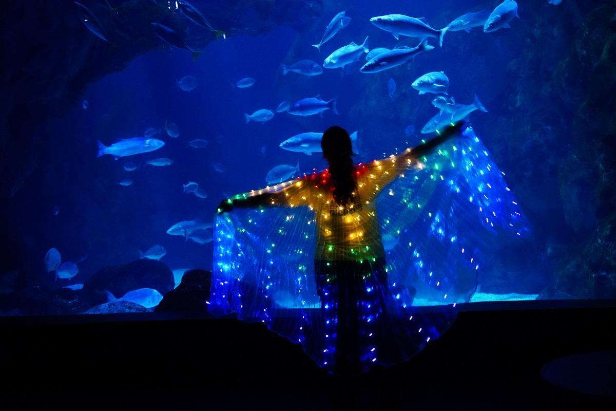 Il existe différentes activités au bioparc de Gijon Aquarius