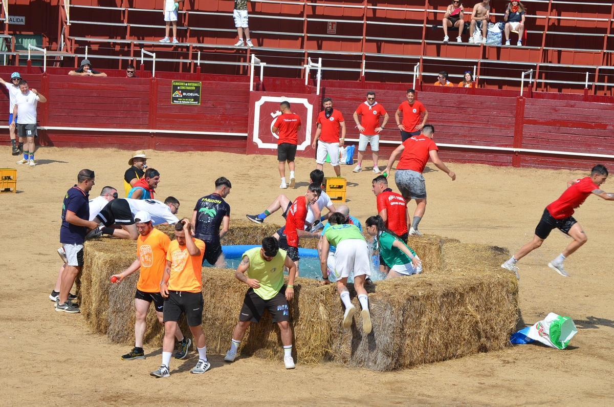 Participants au Grand Prix de cette année.