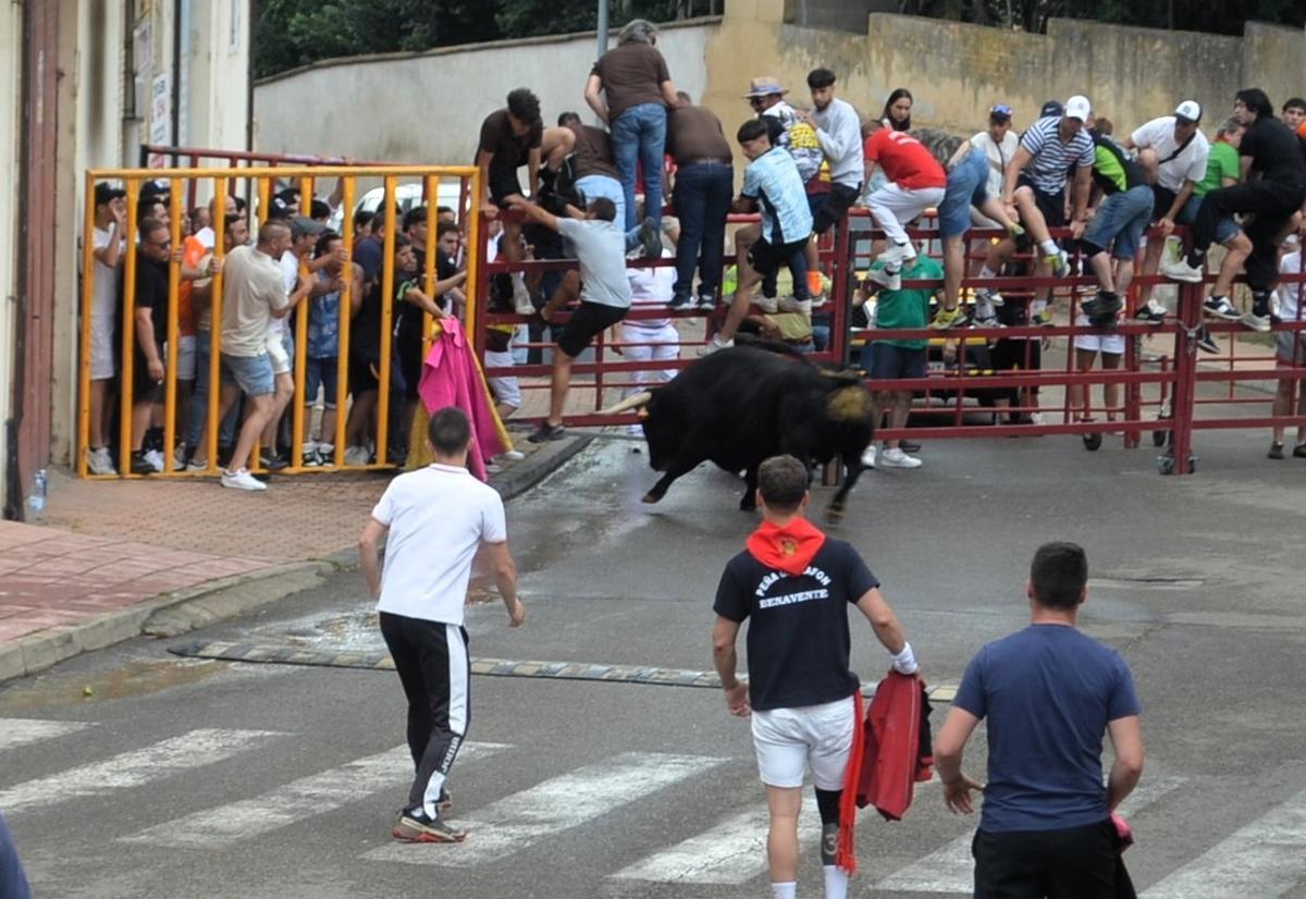 Toro du tiroir Charamandanga.