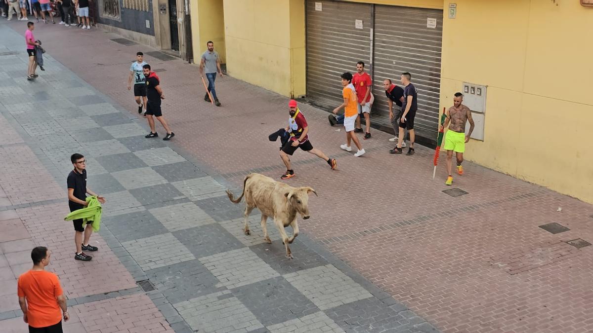 I Cow of Youth à Benavente.