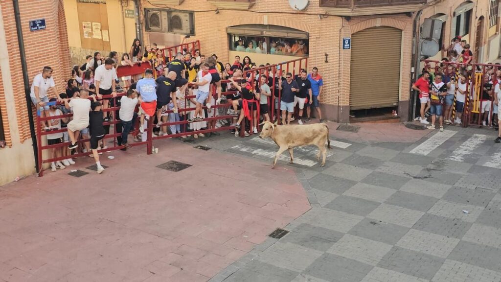 La Vaca de la Juventud de la Peña No Te Metas.